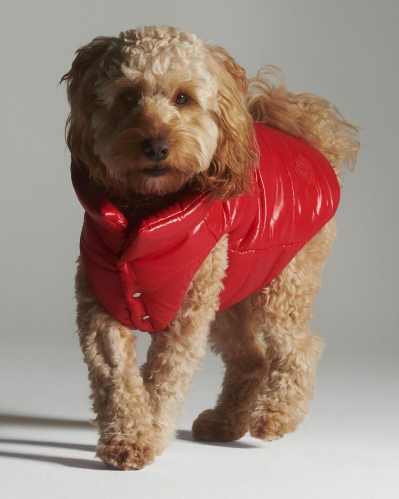 Danson Productions | Print & Video Creative Production Company | Moncler